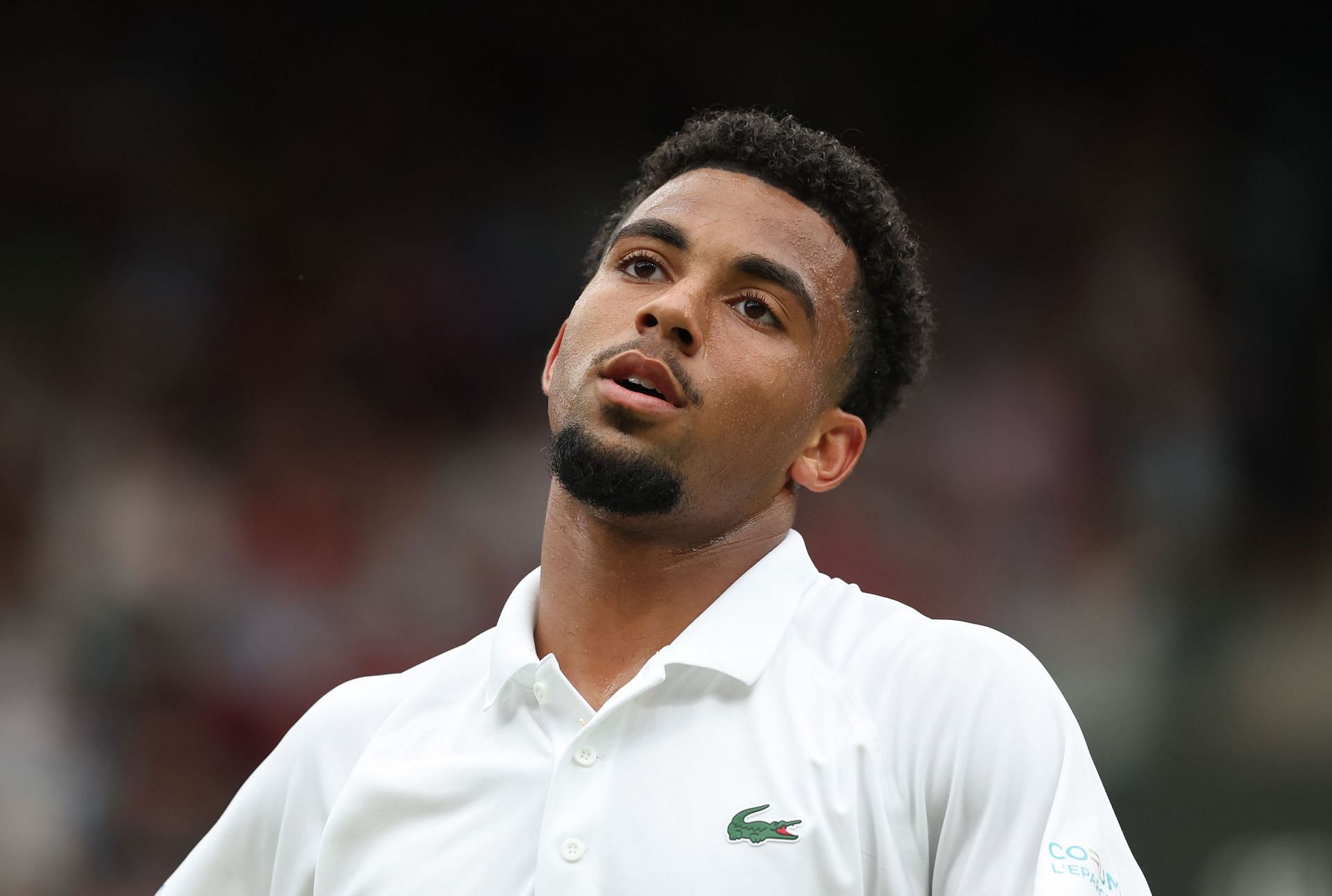 Fils at The Championships - Wimbledon 2024 - Source: Getty